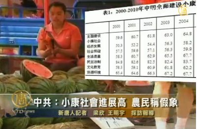 中共：小康社會進展高 農民稱假象