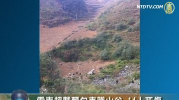 云南超载面包车坠山谷 14人死伤