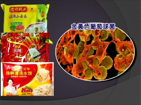 大陸學者微生物是食品安全防控重點