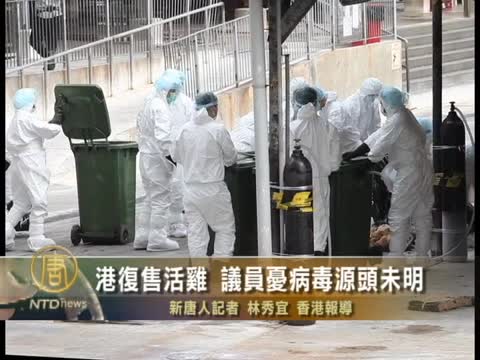 港復售活雞 議員憂病毒源頭未明