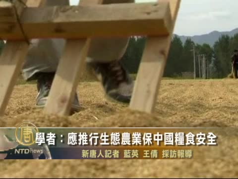 學者: 應推行生態農業保中國糧食安全