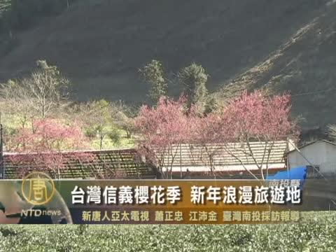 台灣信義櫻花季 新年浪漫旅遊地
