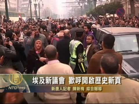 埃及新議會  歡呼開啟歷史新頁