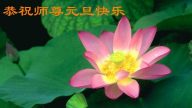 大陸法輪功學員恭祝法輪功創始人元旦快樂（五）