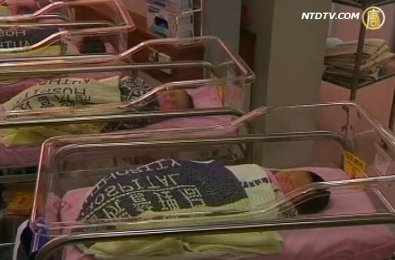 中國龍年到  龍子龍女嬰兒潮降臨