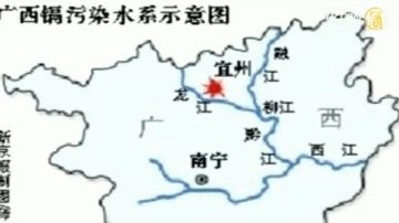 广西龙江河镉污染 市民惶恐抢水