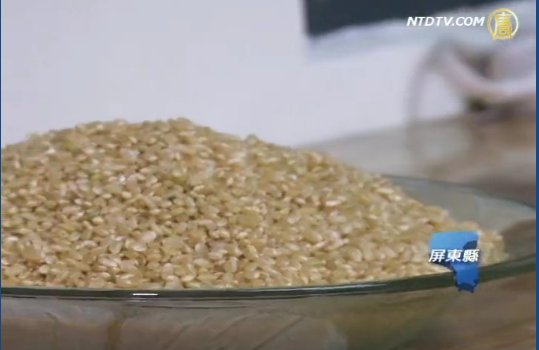 糙米酵素 回歸自然的生物技術