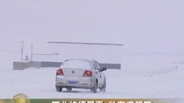 西北持续暴雪 牲畜冻饿