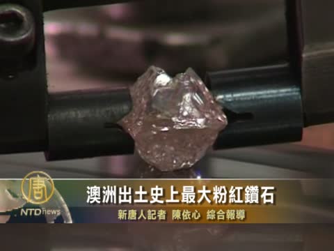 澳洲出土史上最大粉紅鑽石