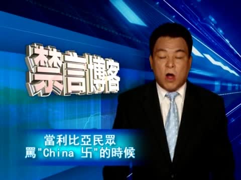 【禁言博客】當利比亞民眾罵“China 卐”的時候