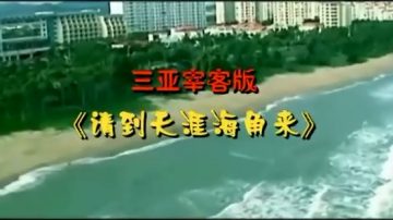 恶搞三亚宰客短片《请到天涯海角来》爆红（视频）