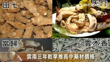 云南三年干旱推高中药材价格