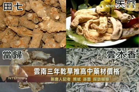 雲南三年乾旱推高中藥材價格