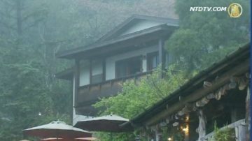 寄情山林 270度的咖啡民宿