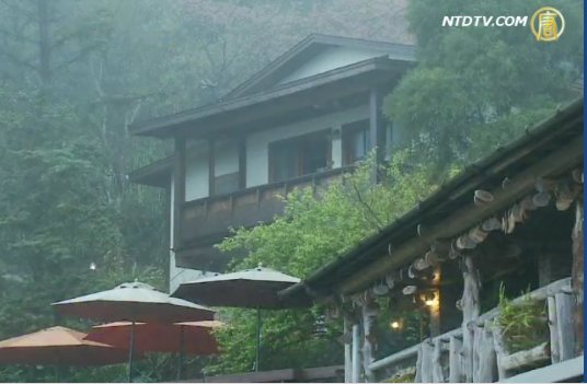 寄情山林 270度的咖啡民宿