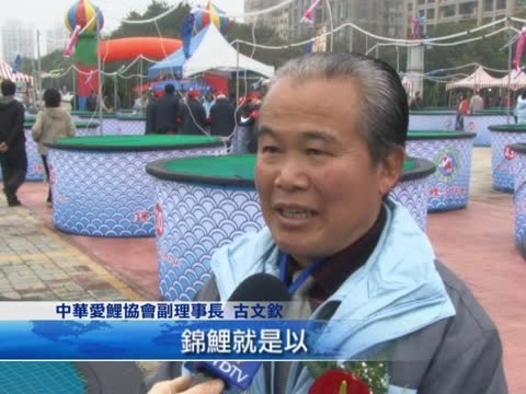 內行人看門道 教您如何看懂錦鯉