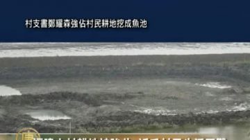 福建山村耕地被強佔 近千村民生活困難