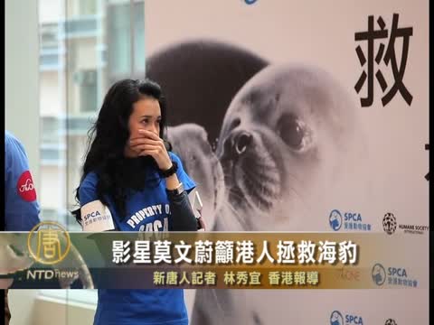 影星莫文蔚籲港人拯救海豹