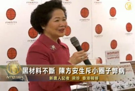 黑材料不斷 陳方安生斥小圈子弊病