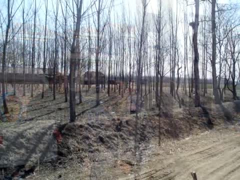 有政法委撐腰 山東村霸強佔地