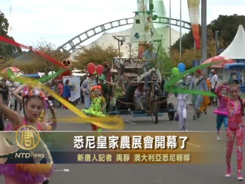 悉尼皇家農展會開幕了