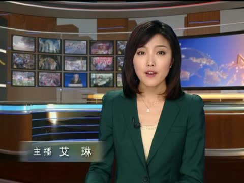 馬拉維首位女總統宣誓就職