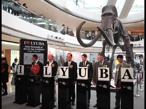 4萬年冰封長毛象亞洲首展現香港