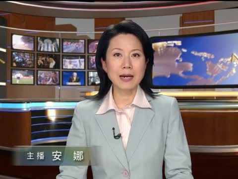 埃前外長：當選總統將與穆兄會合作