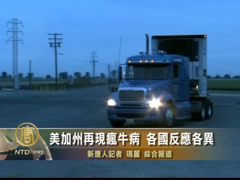 美加州再現瘋牛病 各國反應各異
