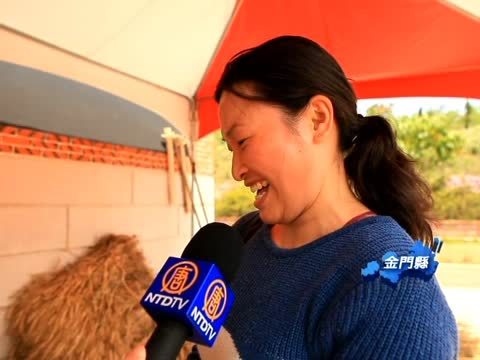 麥穗成熟時 金門體驗農家樂