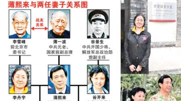 前妻控薄陳世美 控谷破壞軍婚