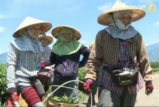 油電物資漲 偏鄉災民只能樂觀以對