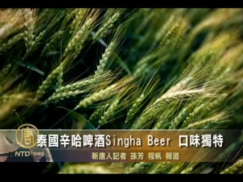 泰国辛哈啤酒Singha Beer口味清爽独特