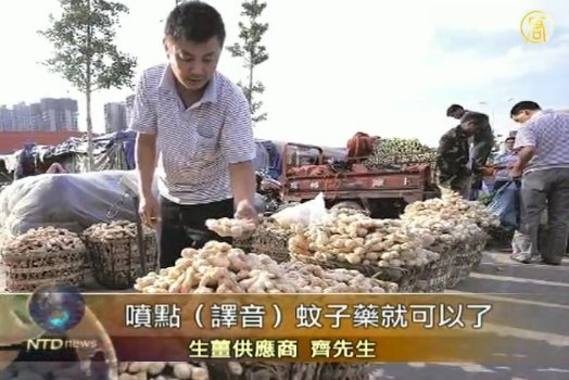 山東驚傳菜農用劇毒農藥保鮮生薑