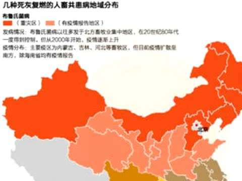 大陸布病疫情嚴重 數億人面臨危險