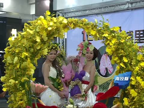 花都埔里 火鶴文心蘭當季盛產