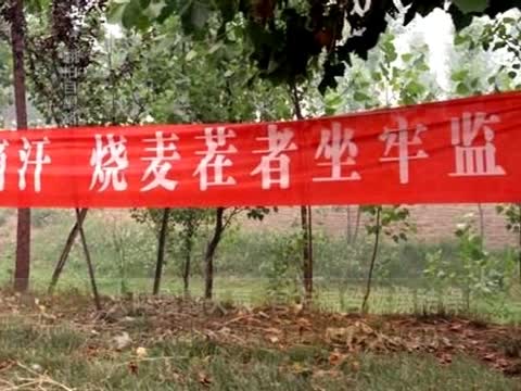大陸霧霾天氣 官方歸咎燃燒秸稈