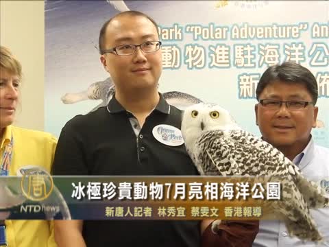 冰極珍貴動物7月亮相海洋公園