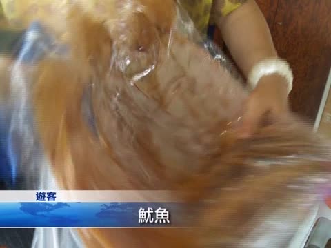 小琉球特色伴手禮 鮪魚海藻首選