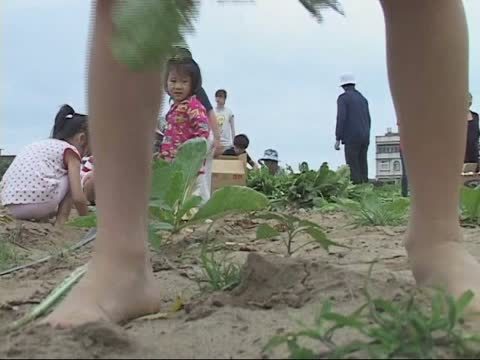 一分耕耘一分收穫 親子體驗拔蘿蔔