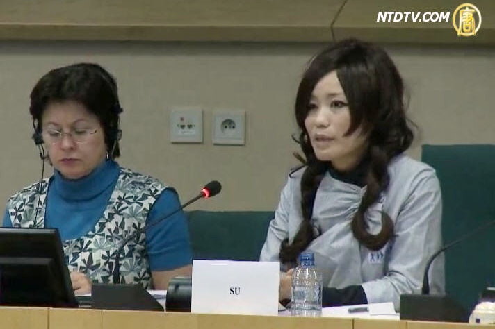 中國人權問題顯著 歐洲議會與海外華人齊關注