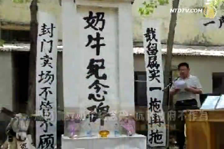豫奶農立奶牛紀念碑  抗議政府不作為