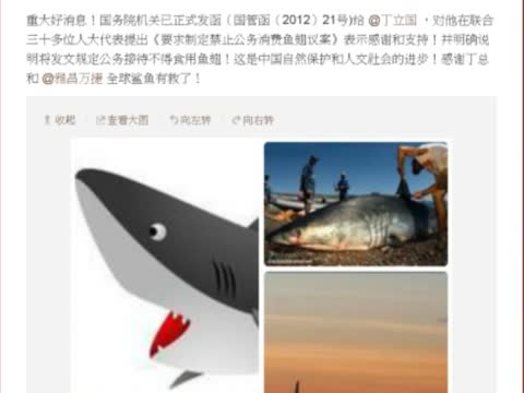 公款接待禁食魚翅  揮霍成風網友議