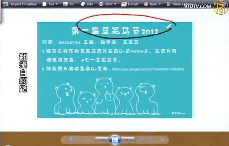 【石濤評述】第一屆草泥馬節2012