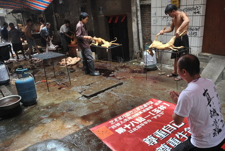 廣西玉林男子在狗肉市場下跪謝罪
