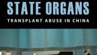 横河：专家如何看中国的器官移植
