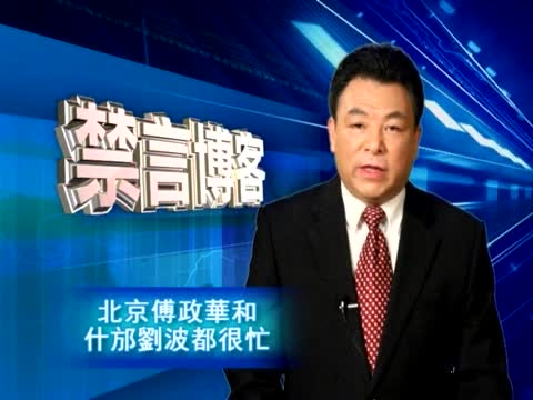 【禁言博客】北京傅政华和什邡刘波都很忙