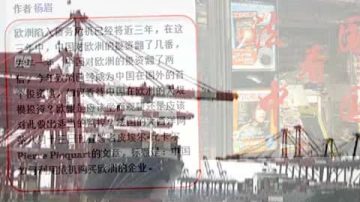 【禁闻】中国资本趁欧债危机涌入 引人疑