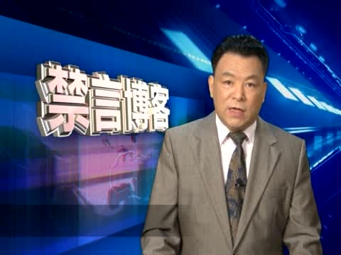 【禁言博客】解放軍改名為黨衛軍更靠譜