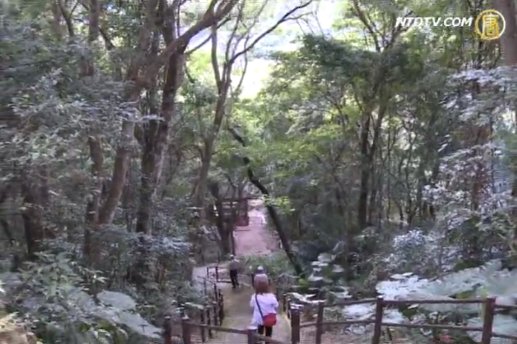 嚐特產 賞美景 水蜜桃之旅在拉拉山
